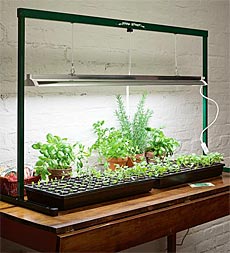 Jump Start Light System  For Seedlings, Cuttings, Flowers & Houseplants