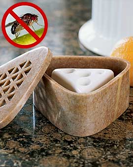 Non Toxic Soapstone Box with Two Fruit Fly Traps